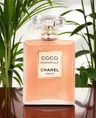 عطر Chanel Coco