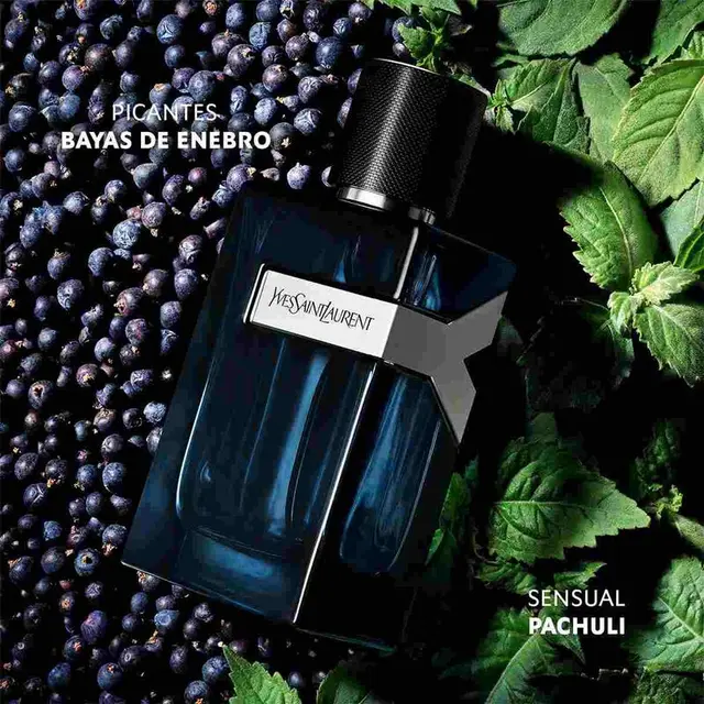 عطر Y Eau de Parfum Intense
